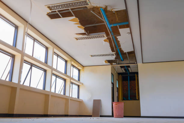 Best Fire Damage Restoration  in Kalama, WA