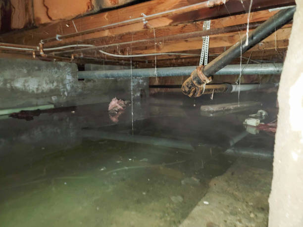 Best Basement water damage restoration  in Kalama, WA