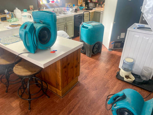 Best Ceiling water damage repair  in Kalama, WA