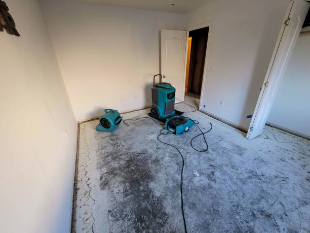  Kalama, WA Water damage restoration Pros