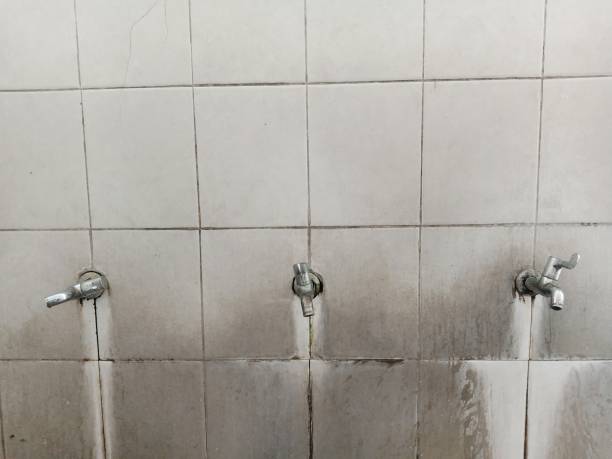 Best Water damage restoration near me  in Kalama, WA