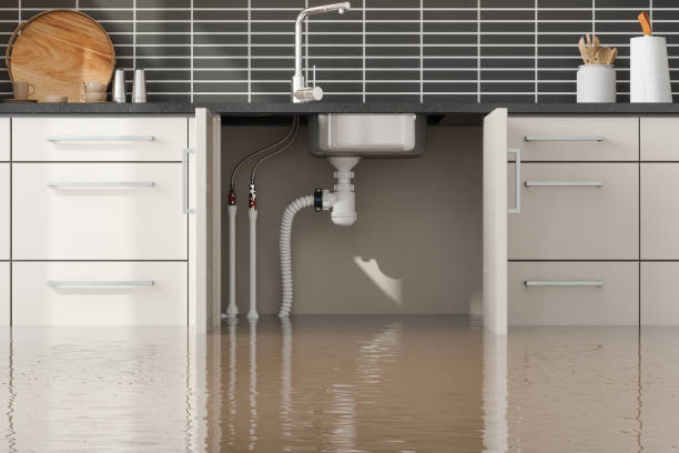 Best Local water damage restoration  in Kalama, WA