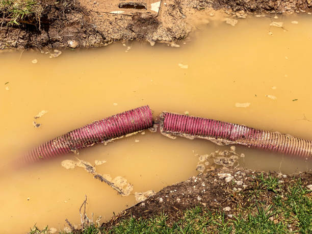 Reliable Kalama, WA Water damage restoration Solutions