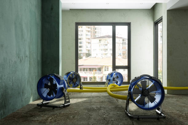 Best Residential water damage restoration  in Kalama, WA